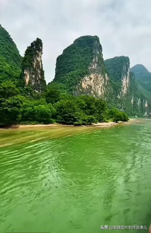 鲜奶运输车找不同